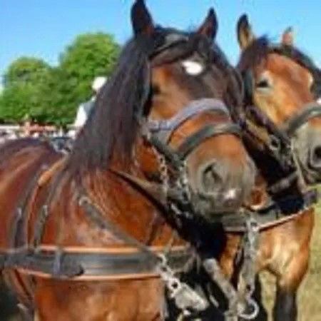 Feriehus Du Coucou *